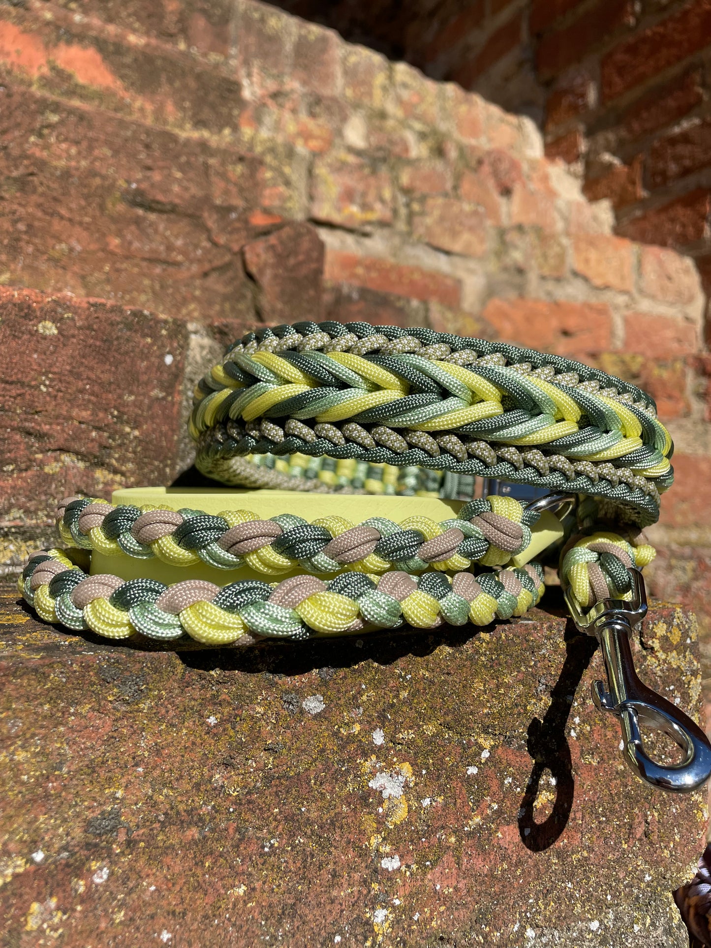 50/50 Leine BiothaneXParacord