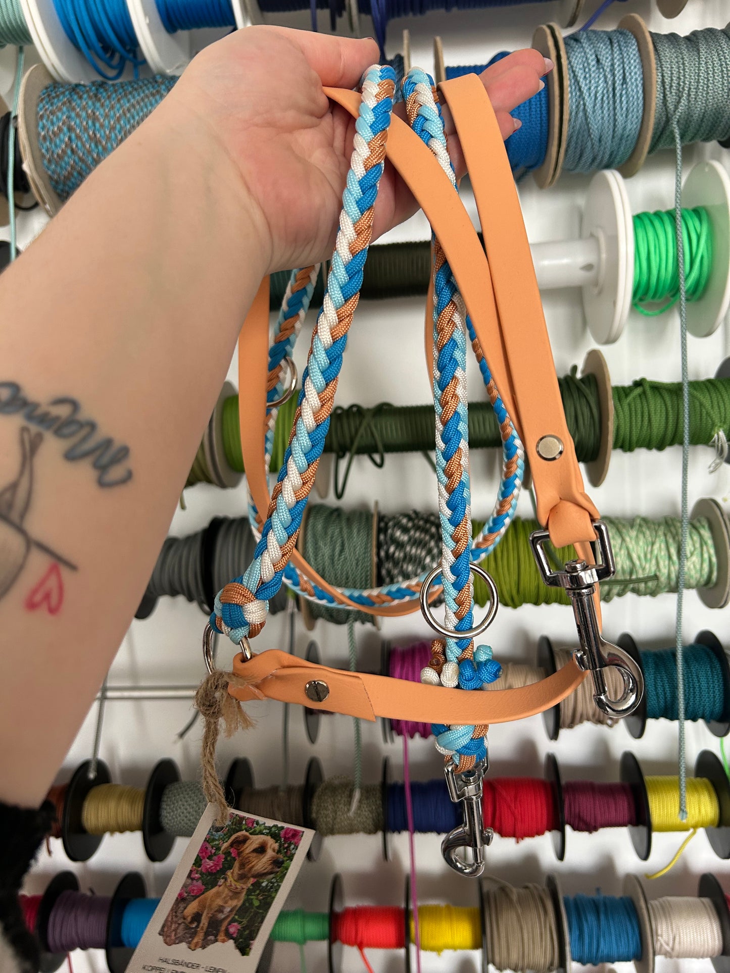 50/50 Leine BiothaneXParacord