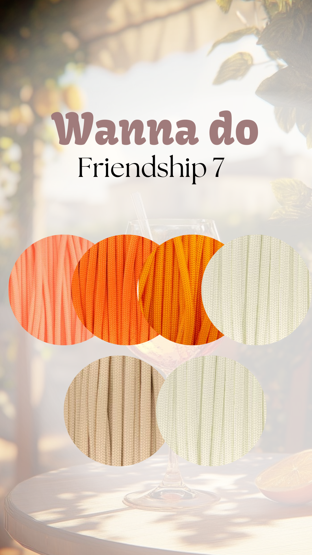 WANNA DO ''Friendship 7''