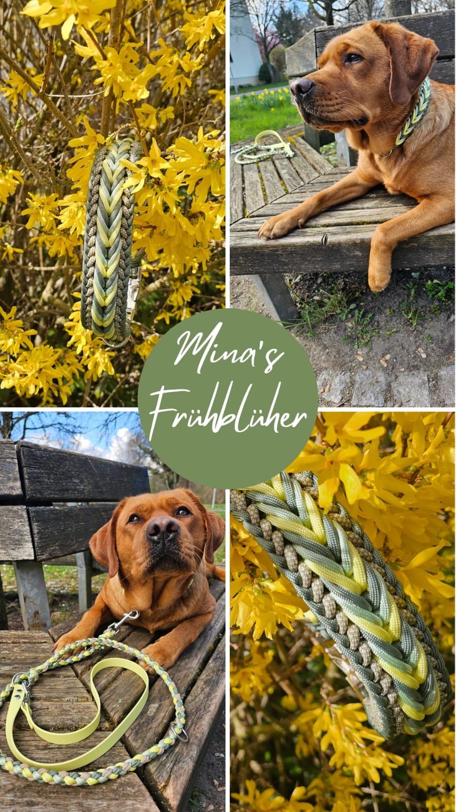 Mina's Frühblüher