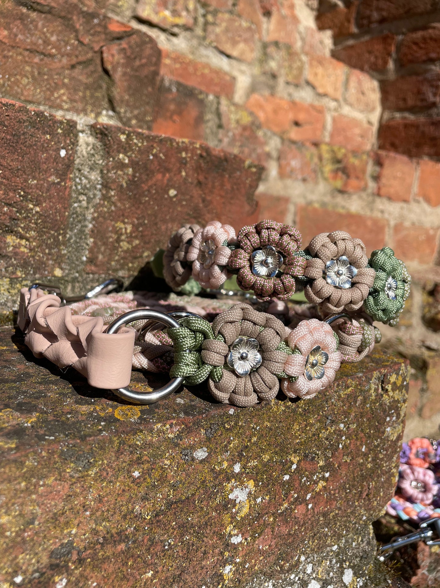 Lotti's Tulpenzauber