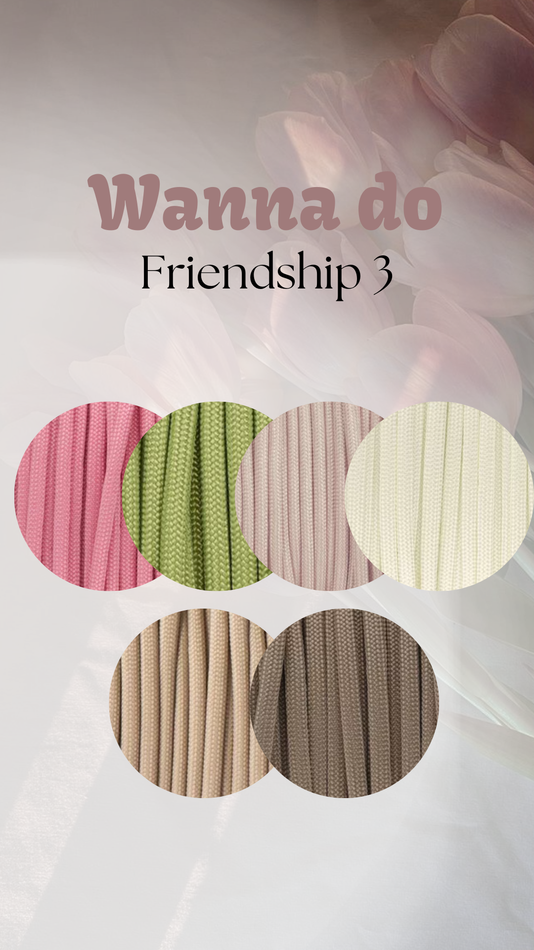 WANNA DO ''Friendship 3''