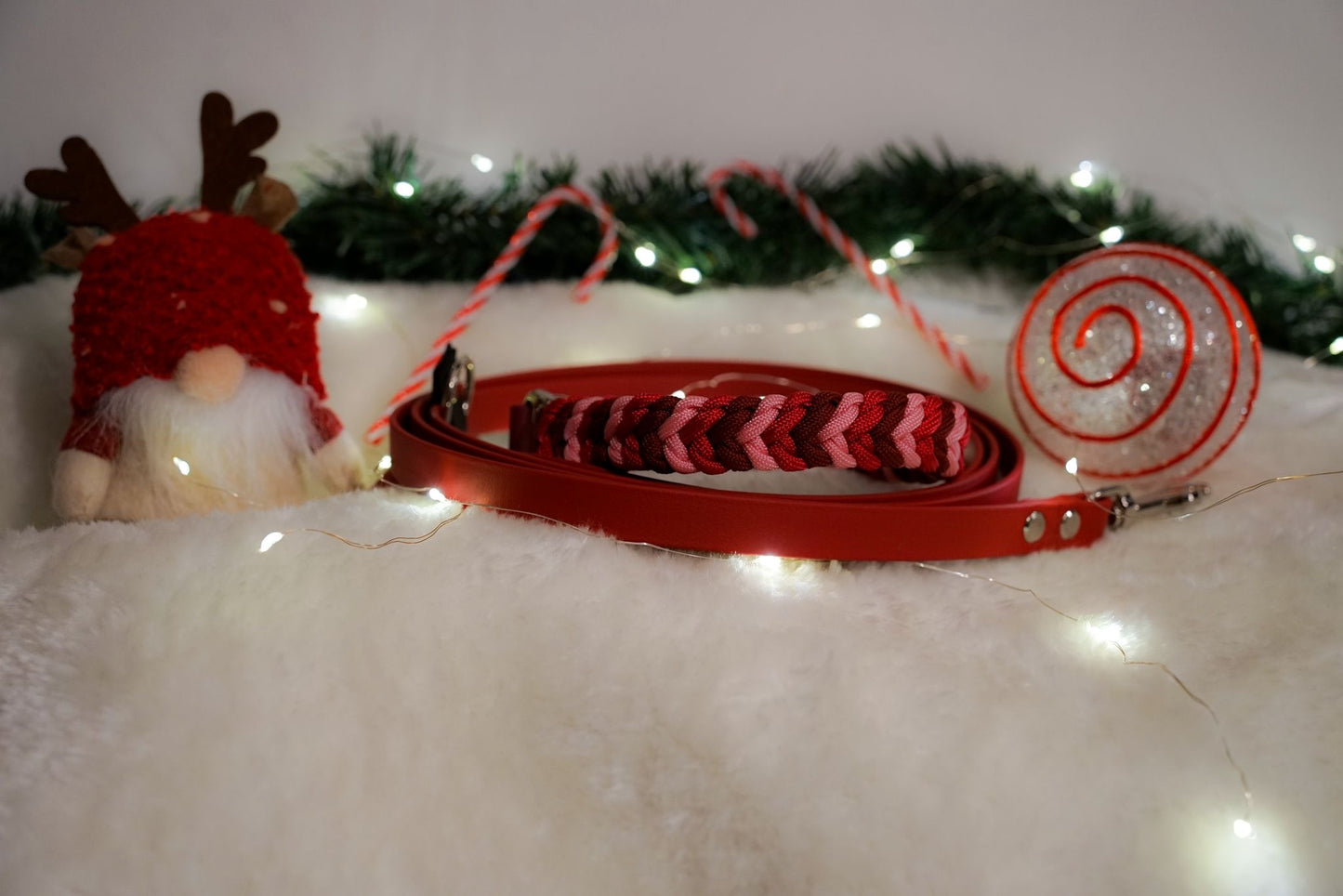 Evi's Pfötchenweihnacht