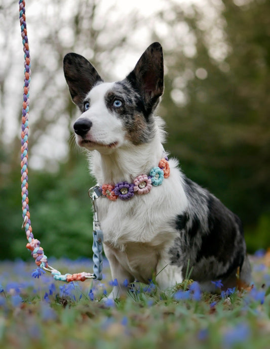 Paracordhalsband ''Blümchen''
